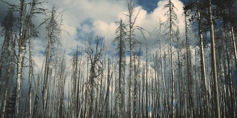 从文字到荧幕：福建网络文学产业基地如何借力数字营销与媒体代理实现IP全链路开发