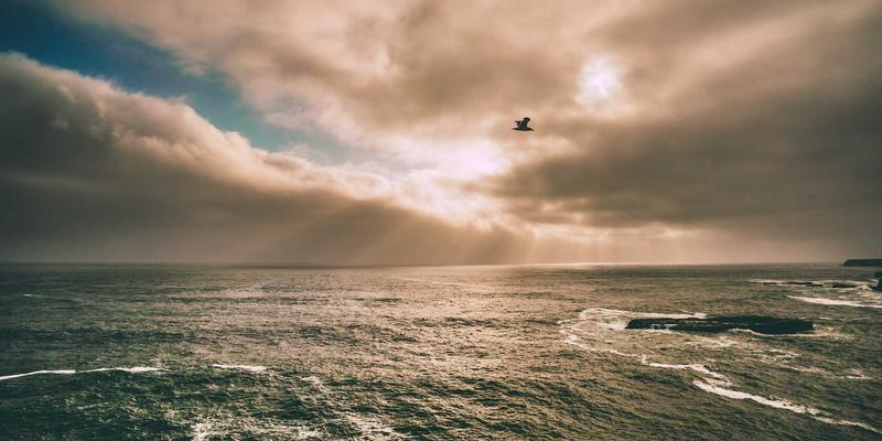 福建传媒20年:从广播广告到数字营销的融合转型之路