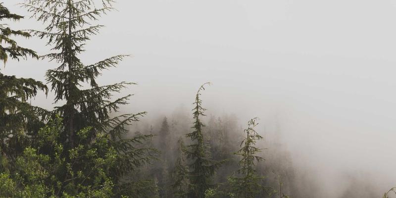 福建传媒21：融合电视广告与户外广告的全媒体代理新范式