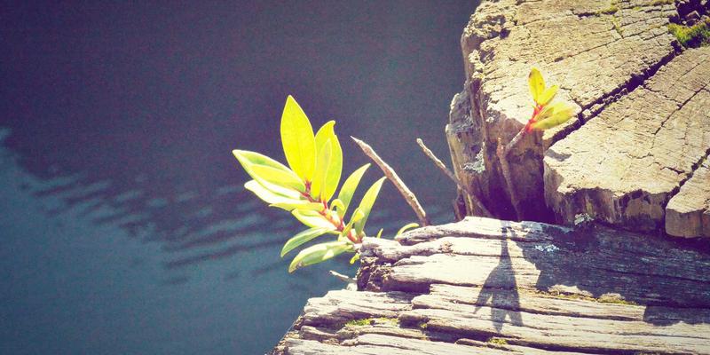 福建传媒66：数字营销浪潮下的广告投放新生态