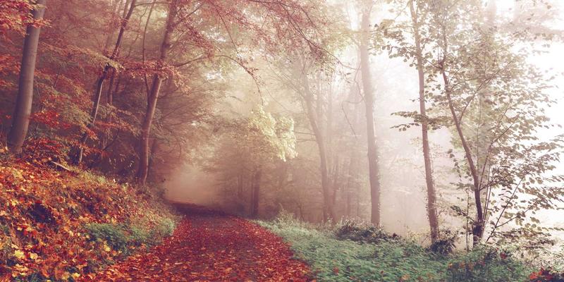 福建传媒69:媒体代理与数字营销融合新范式,驱动广告投放精准变革