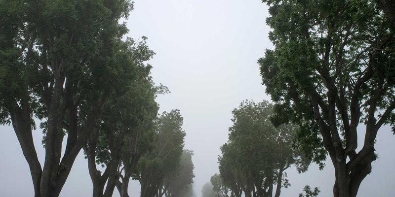 福建传媒74：洞见电视广告新格局，赋能品牌媒体代理新价值