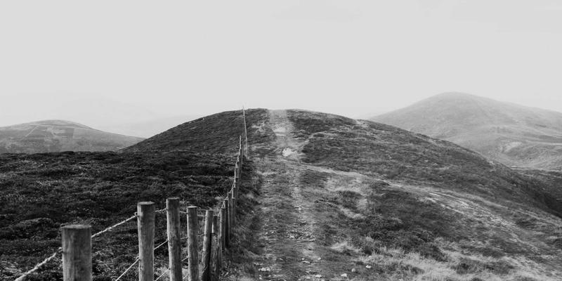 福建传媒95：洞悉户外广告投放新趋势，赋能品牌区域化精准传播