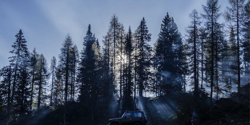 福建传媒企业如何借力自贸区政策：广播广告、媒体代理与数字营销的海外拓展新路径