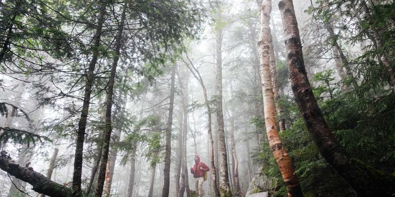 福建传媒技术应用前沿：人工智能如何重塑新闻采编与新媒体广告分发